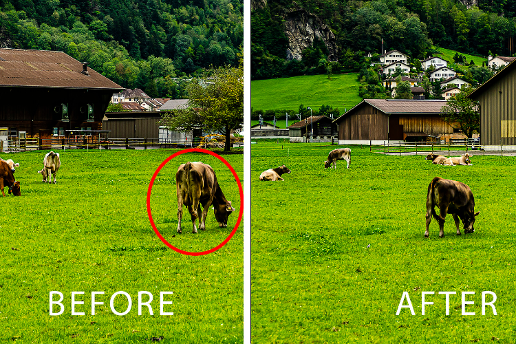 Open Zoomed Related Entry object removal3.jpg