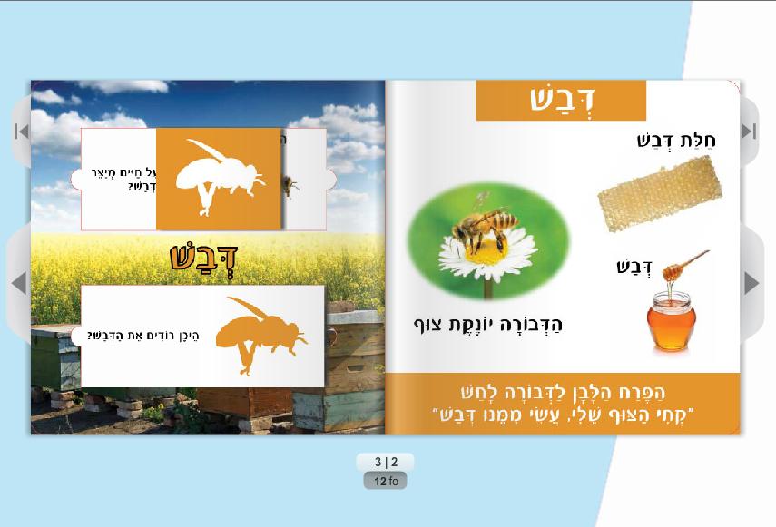 Entry 61439 in Portfolio by סטודיו קטן