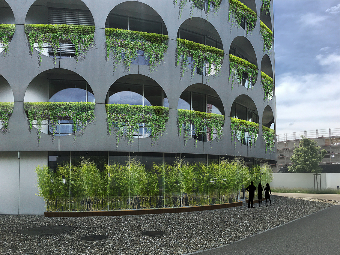 Entry 226649 in Portfolio by ILF Landscape Architecture