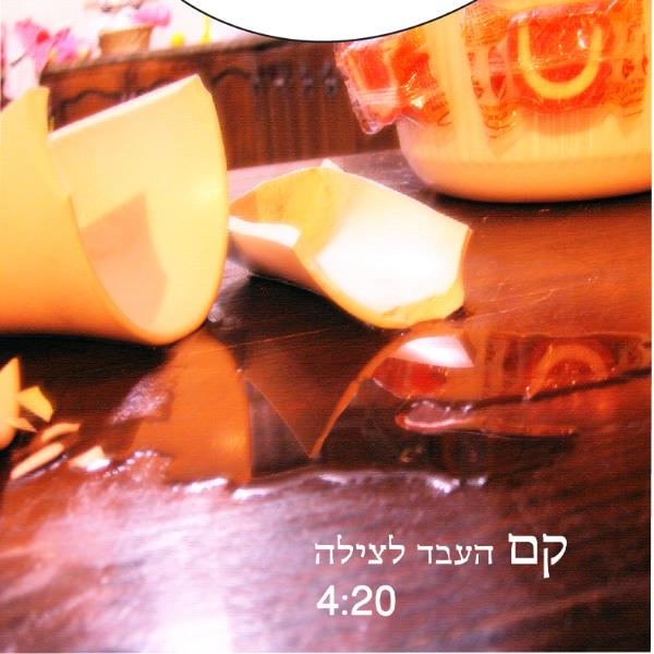 Entry 15207 in Portfolio by רוני אמיתי
