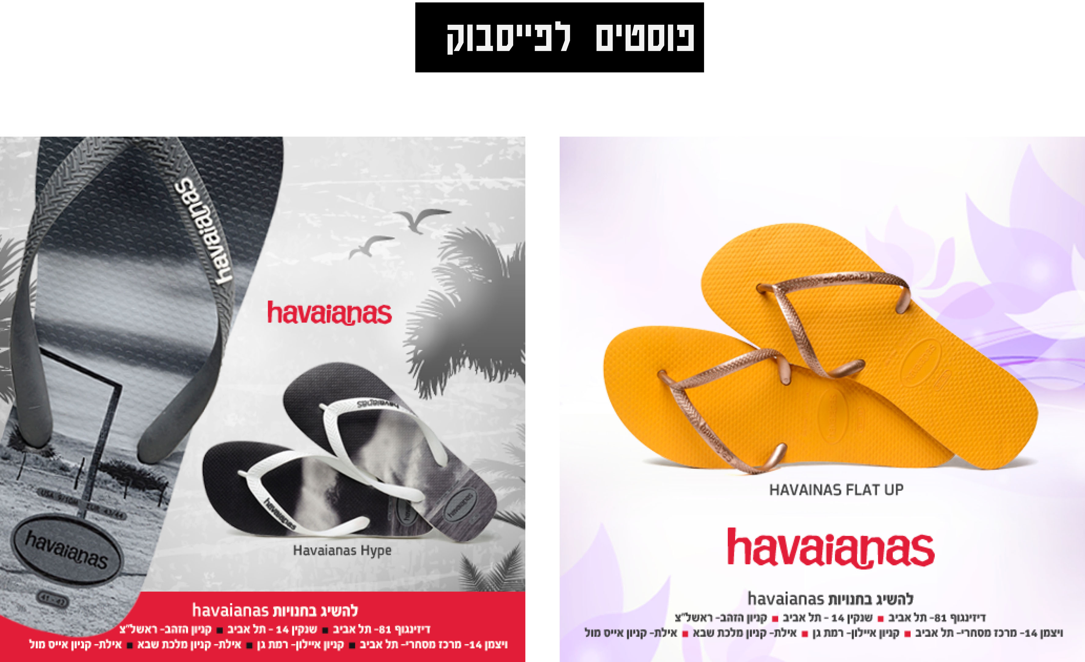 Entry 85427 in Portfolio by הדר אביב