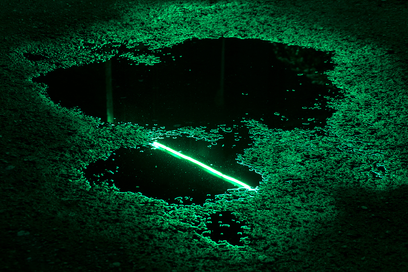 Entry 141206 in WET NEON by DigitalMind