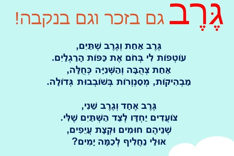 Open Zoomed Related Entry גרב בזכר ובנקבה.jpg