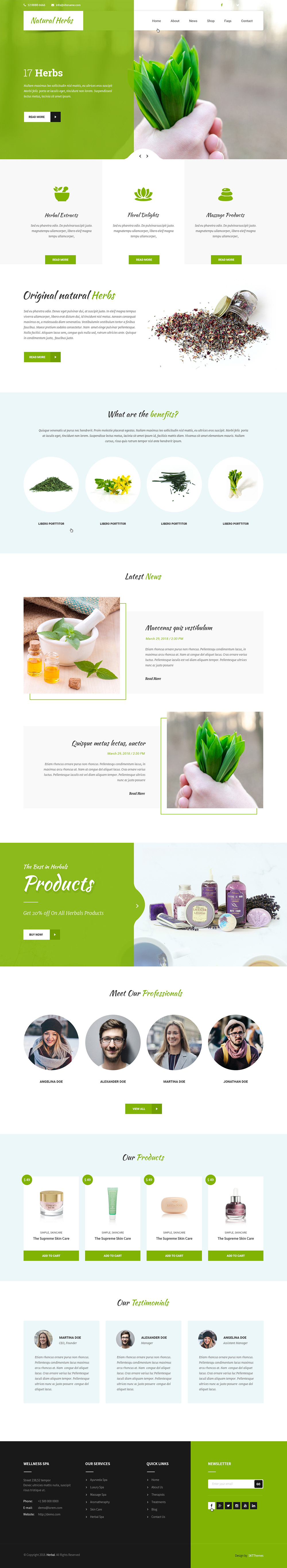 Entry 182260 in Natural WordPress theme by SKT Themes