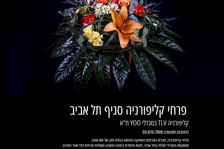 פרוייקט פרחי קליפורניה / Project California Flowers thumbnail