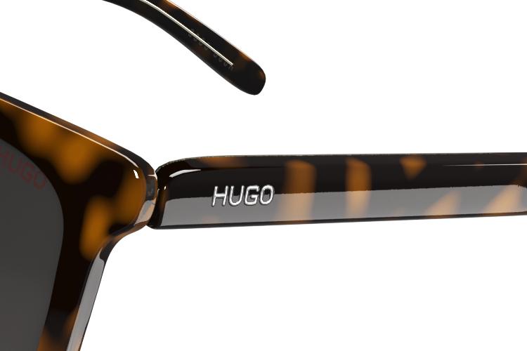 Open Zoomed Related Entry Hugo1.jpg