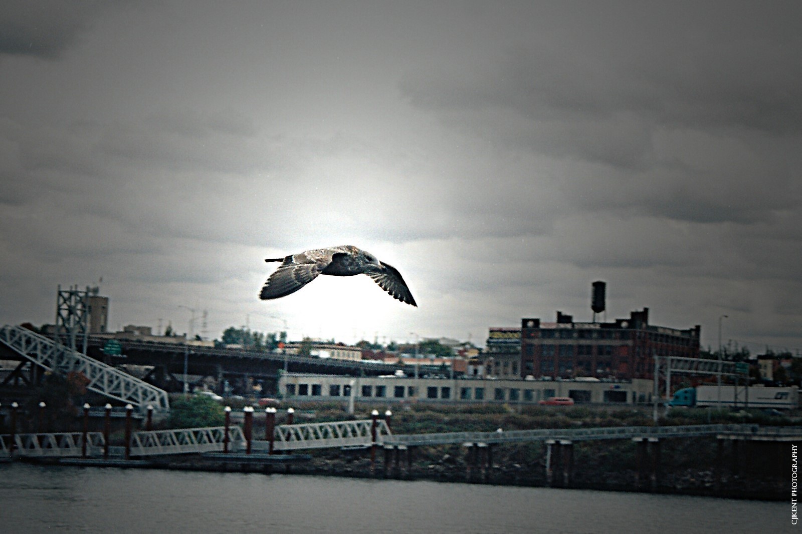 Entry 148053 in Portfolio by Ariel-Nachman Art & Photography