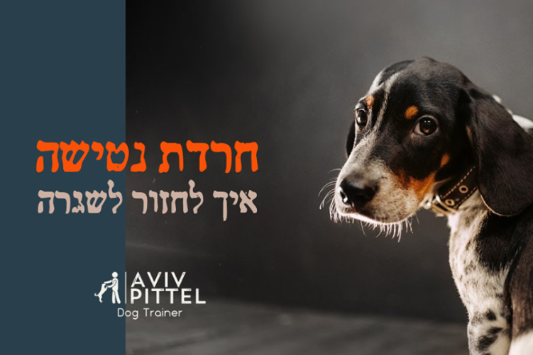 Open Entry 254740 in בעלי חיים :) by Orit Slama