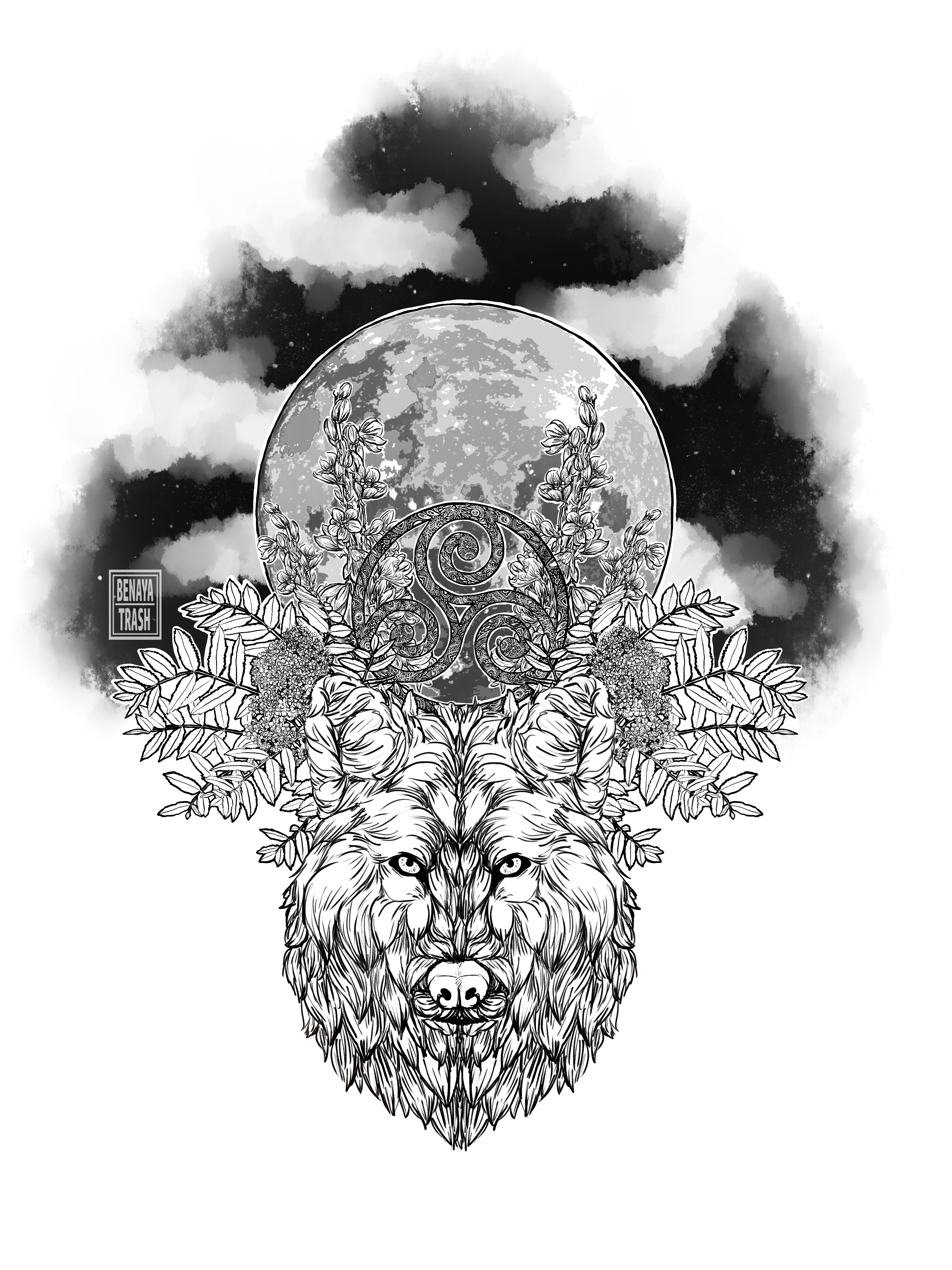 Entry 158313 in Portfolio by אולגה צסרסקי