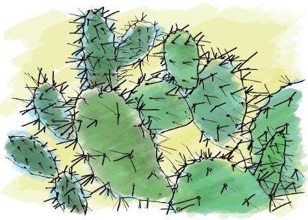 Open Zoomed Related Entry Digital Posters-Cactus