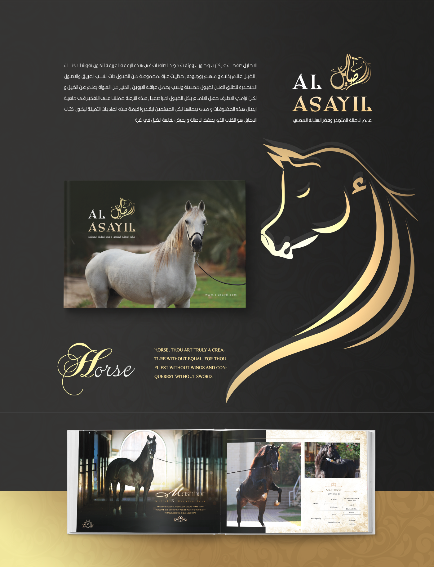 Entry 143059 in AL ASAYIL Catalogue by Haweya company