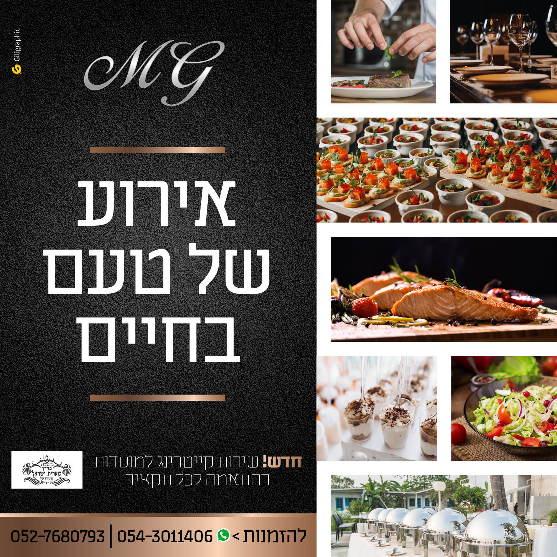 Entry 245538 in Portfolio by גיליגרפיק