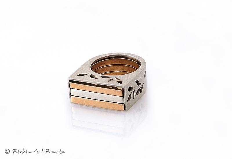 Entry 18971 in Portfolio by Renata Gal Photographer