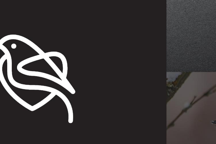 Open Zoomed Related Entry preset22.png