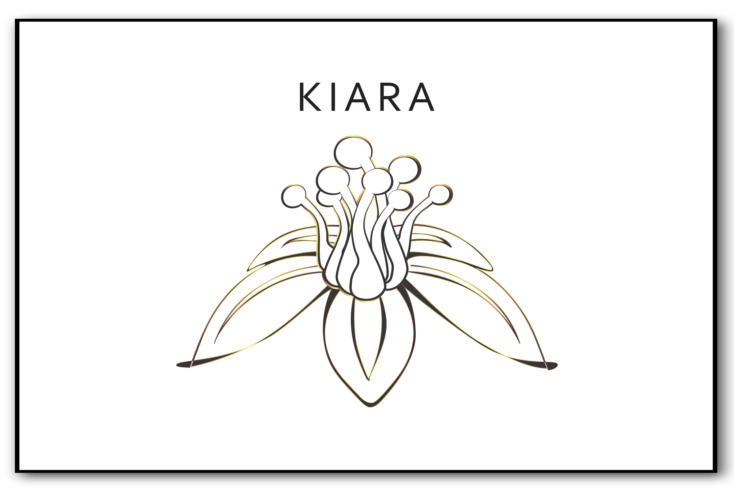 Entry 201493 in Logo Design by SHOR Design Studio