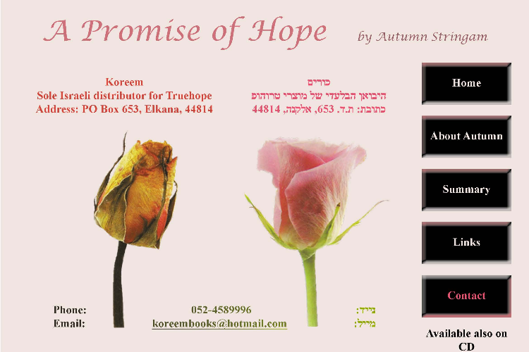Open Zoomed Related Entry A_Promise_of_Hope_Interactive.jpg