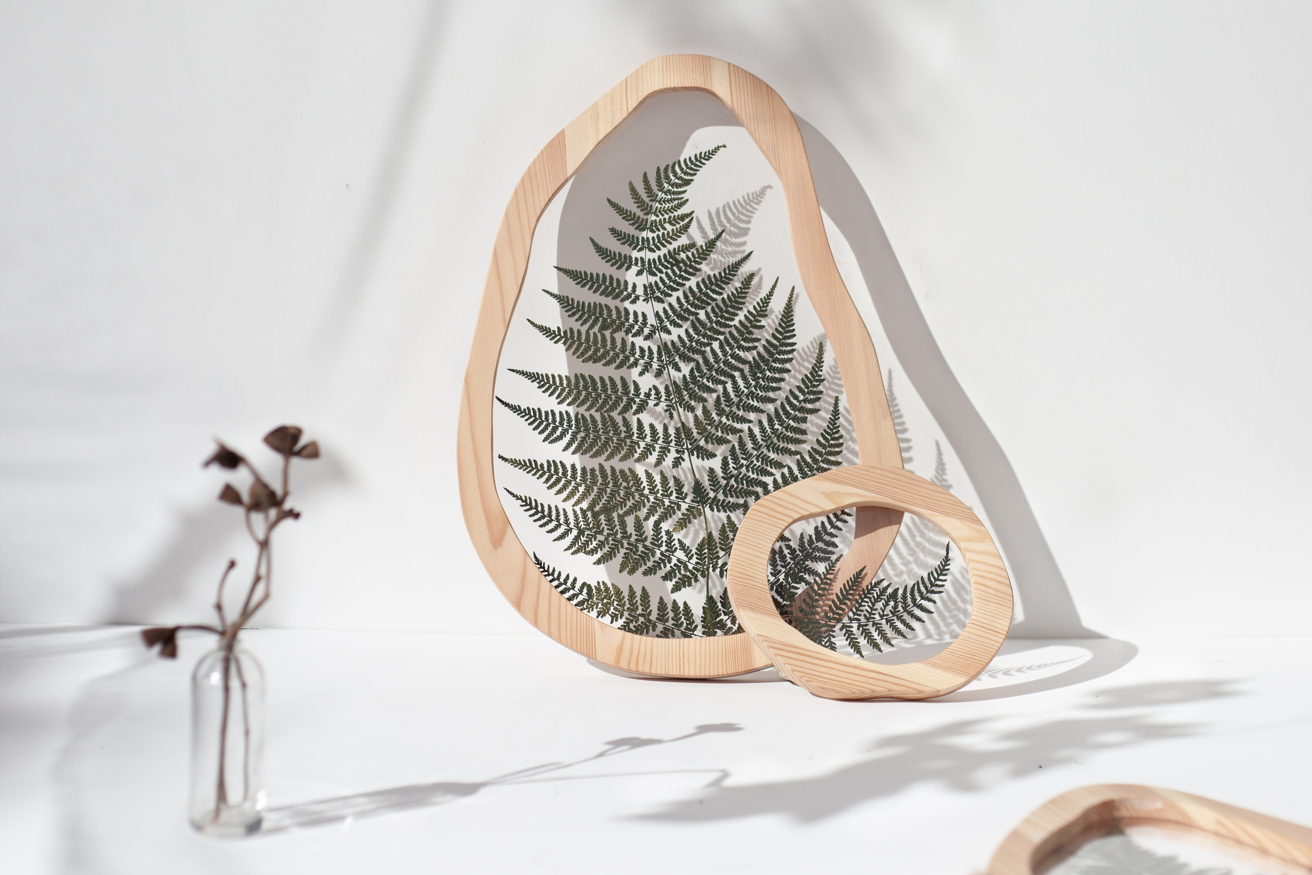 Entry 310689 in Portfolio by Vera Radimashvili
