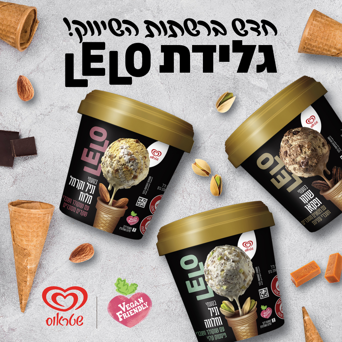Entry 307560 in Portfolio by שרון כהן