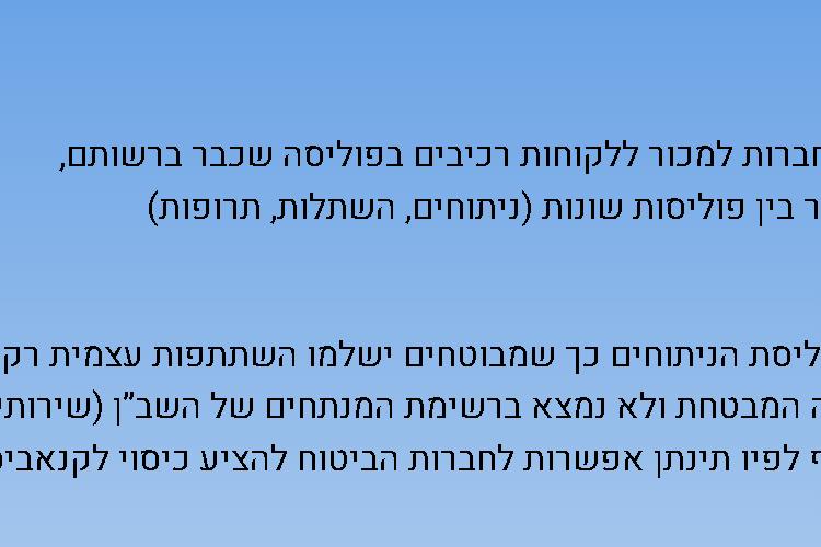 Open Zoomed Related Entry דף נחיתה.png