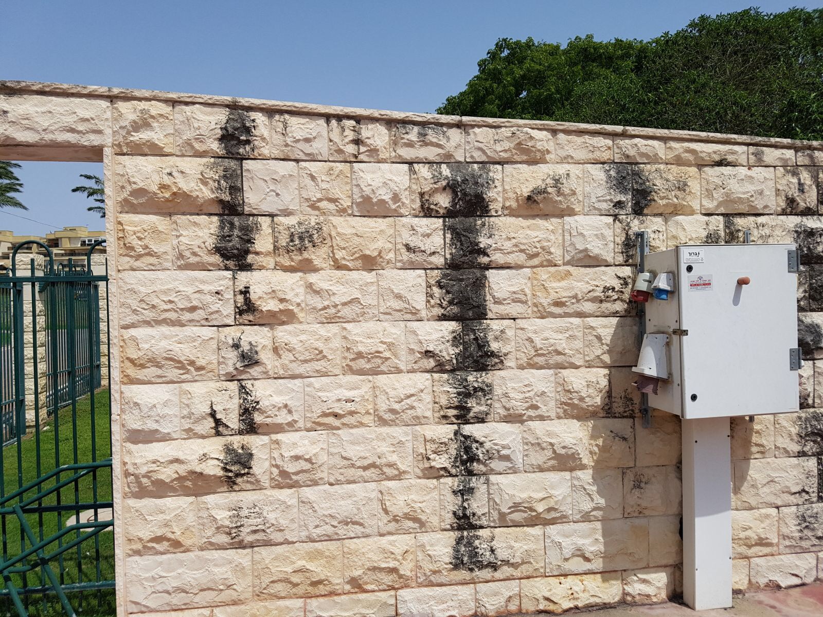 Entry 329592 in Portfolio by אוקיינוס שירותים מתקדמים
