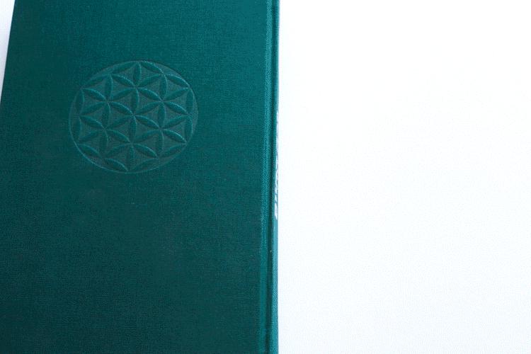 Open Zoomed Related Entry NEWGIFBOOKSABINA.gif