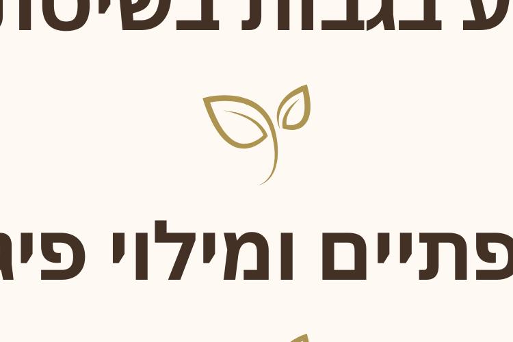 Open Zoomed Related Entry טיפולי היופי בקליניקה קארין.png