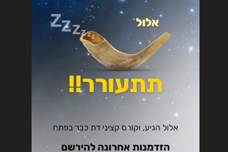 Open Zoomed Related Entry ‏‏צילום מסך (415).png