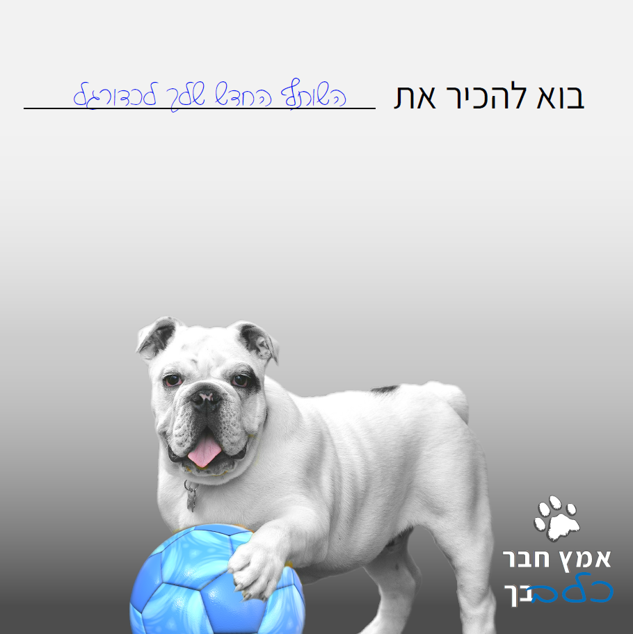 Entry 230513 in מודעות ופוסטרים by TRIO