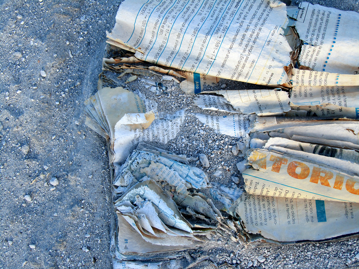 Entry 90086 in photography by אור נגר