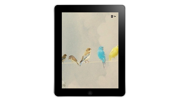 Entry 92990 in Young Galileo Magazine by יוליה צ'ולפייב