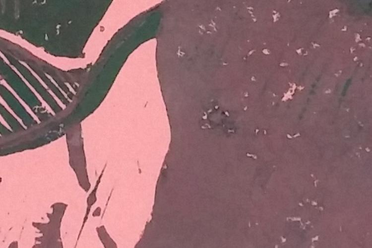 Open Zoomed Related Entry הדפס3.jpg