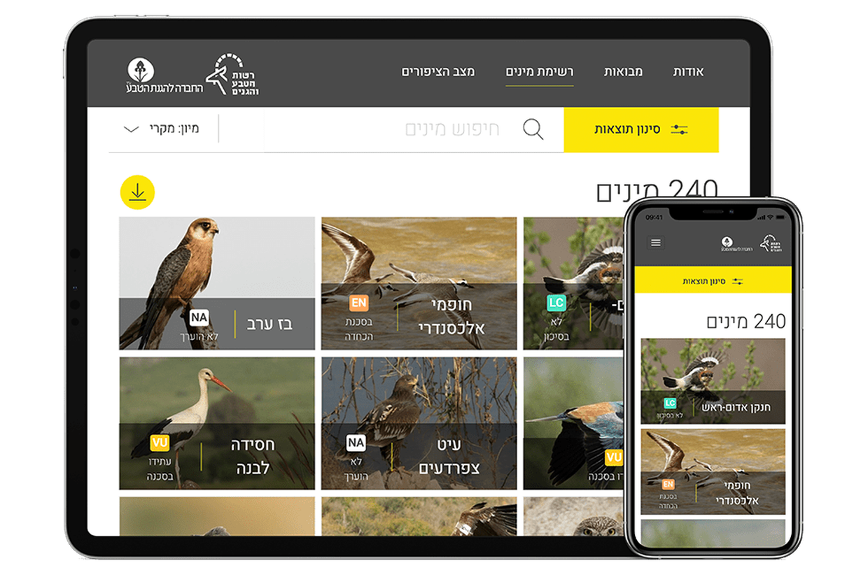 Entry 240608 in Portfolio by IniTech software services