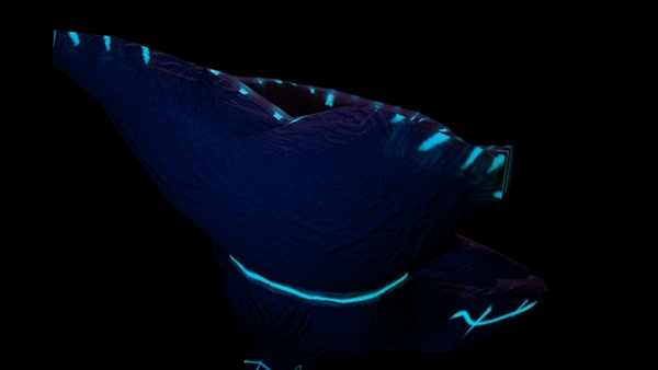 Entry 125249 in Modeling and Textureing by Nimrod Levy