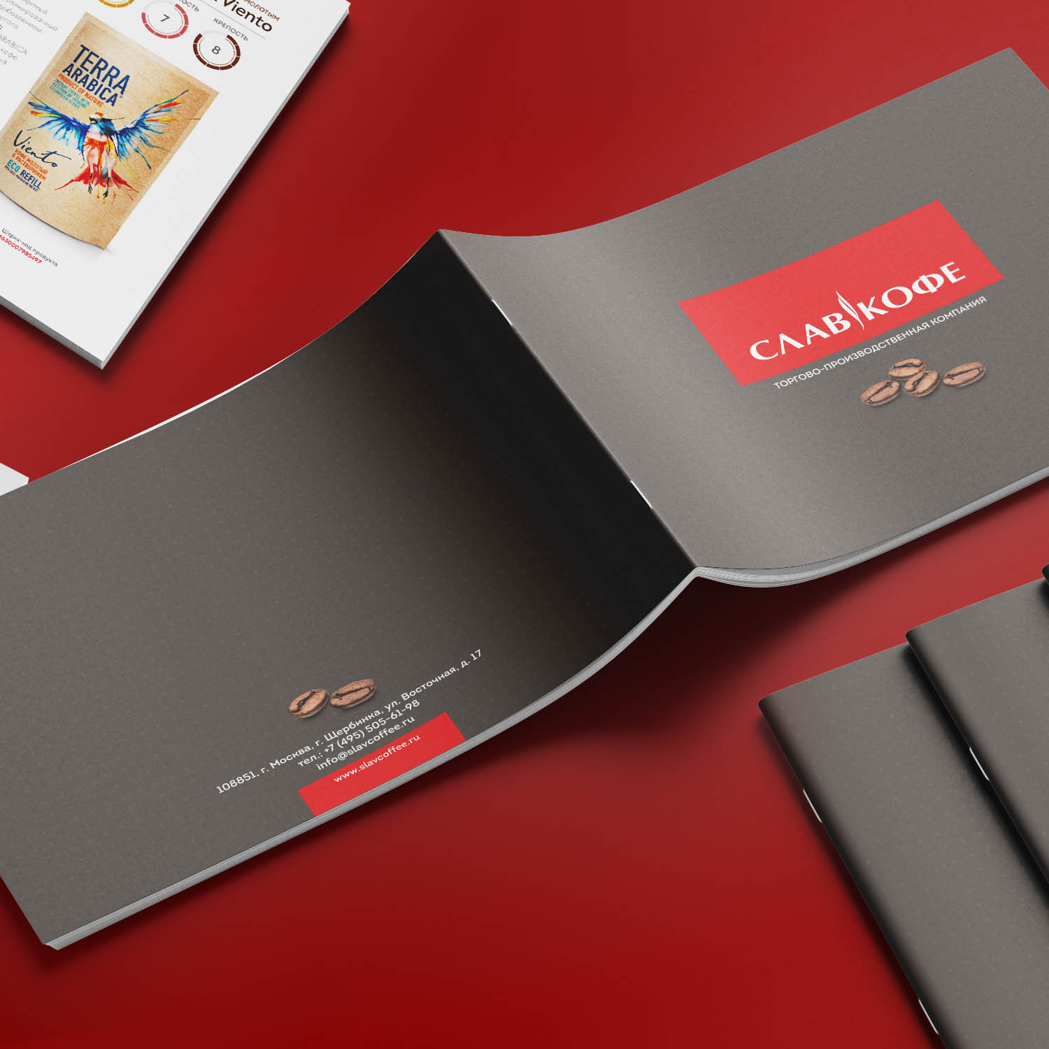 Entry 266117 in Portfolio by bgd.design
