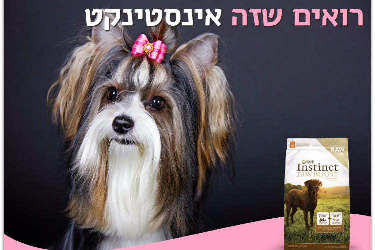 Open Entry 87283 in בעלי חיים :) by Orit Slama