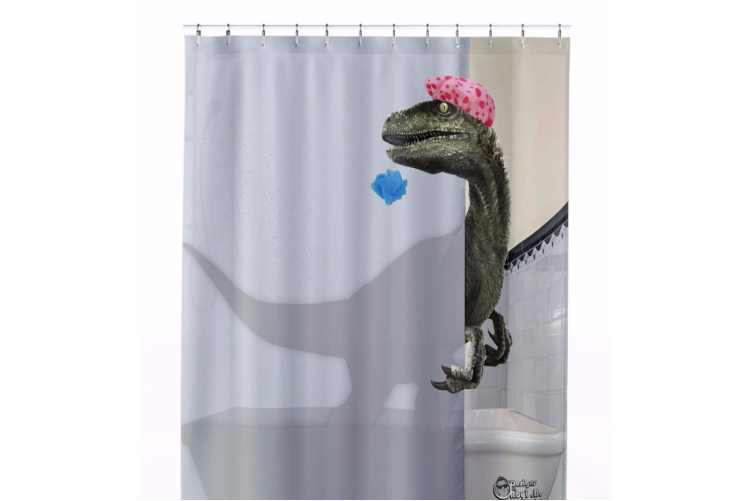 Open Zoomed Related Entry Velociraptor.png