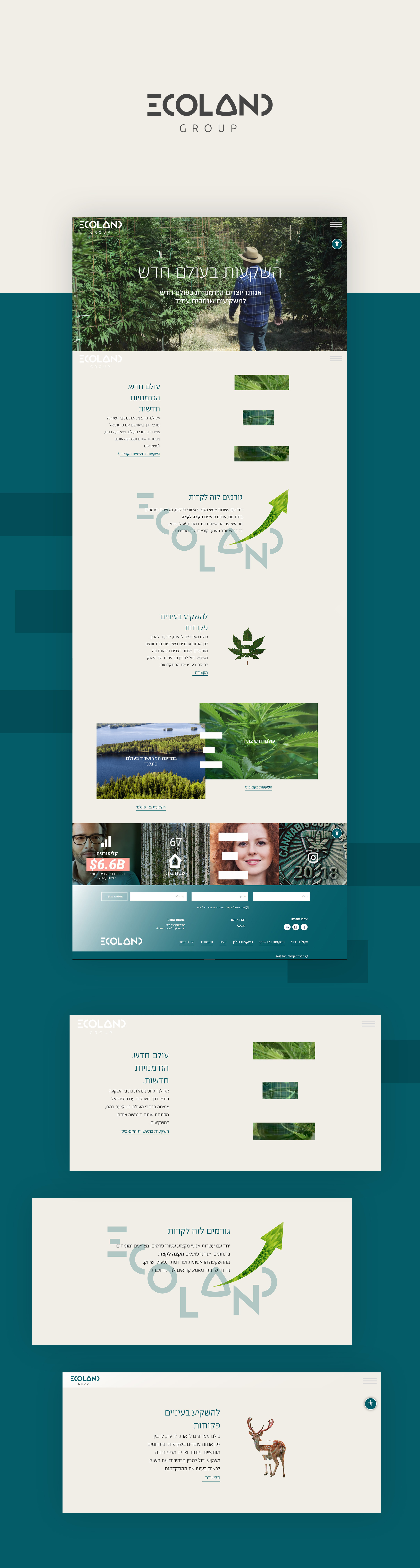 Entry 217524 in Portfolio by Digital Express Marketing