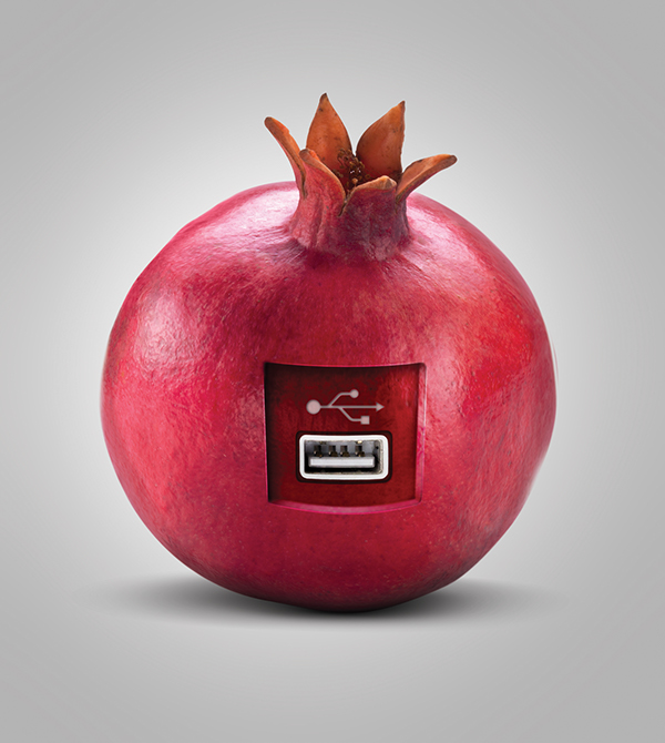 Entry 109887 in USB POMEGRANATE by Adam Design