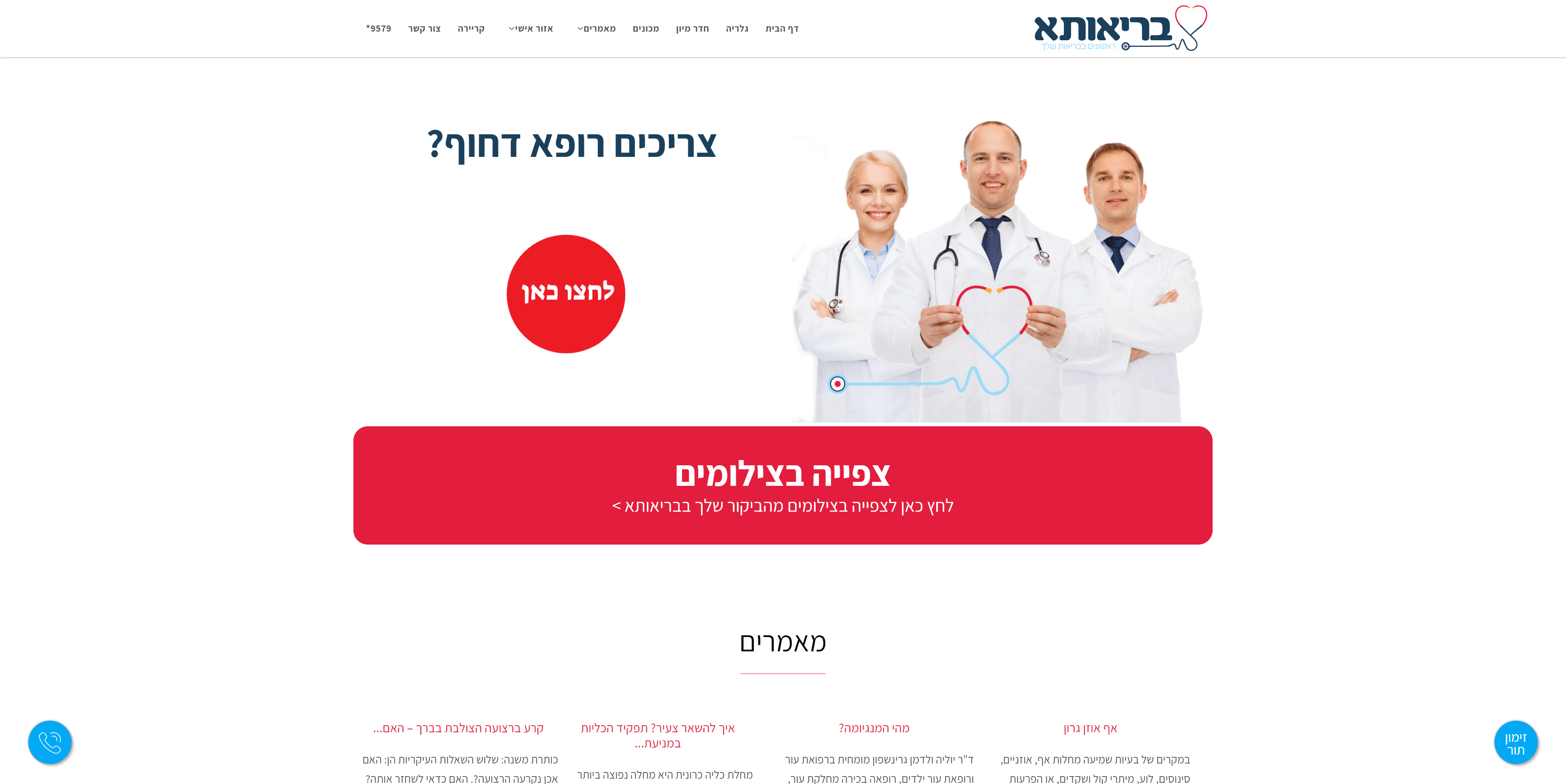 Entry 245845 in Portfolio by דבלאור
