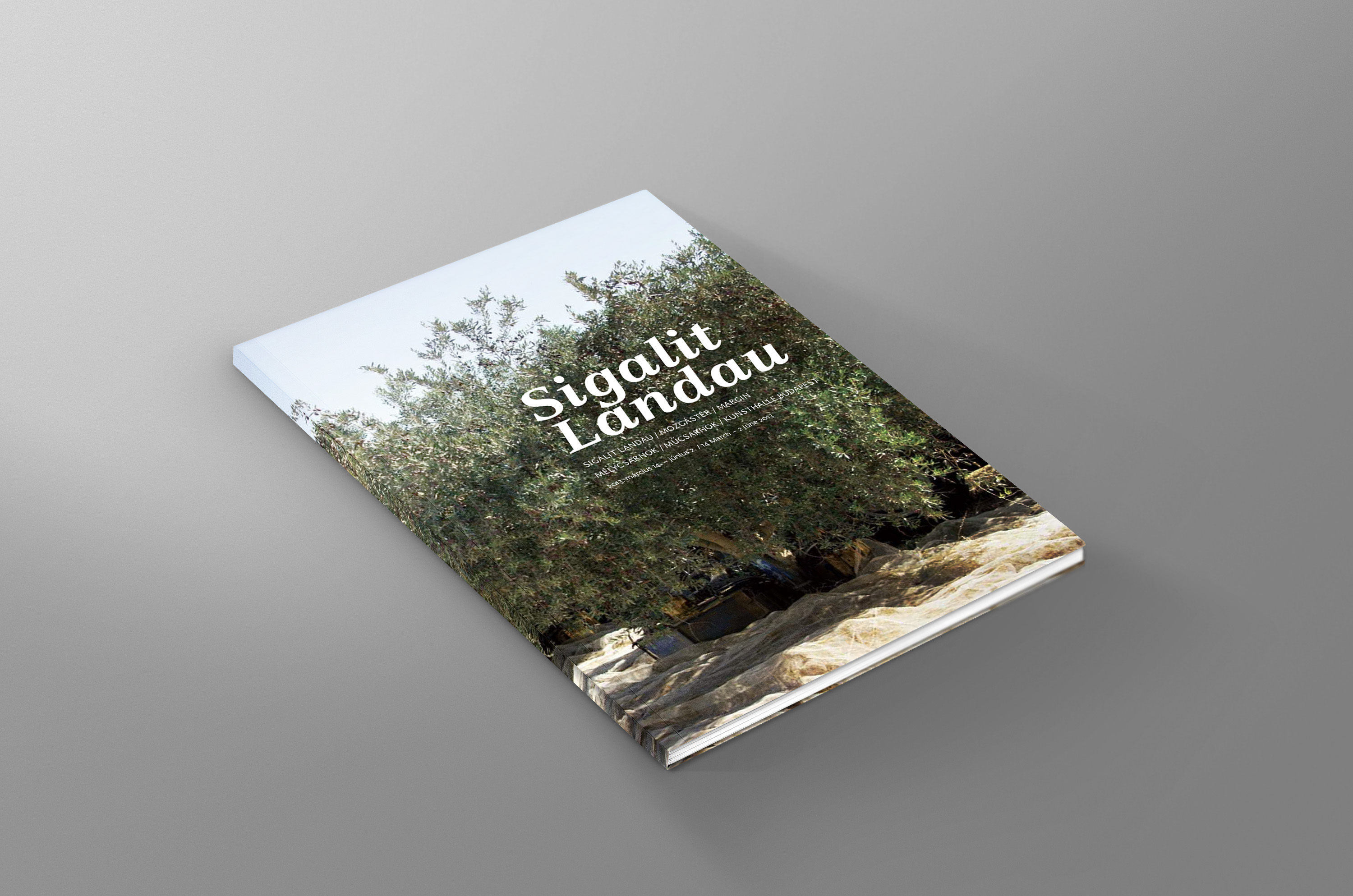 Entry 114747 in Portfolio by Etsdesign.tlv