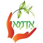 XPlace פרילנסרים | עבודה מהבית לפרילנסר ועבודות פרילנס לפרילנסרים