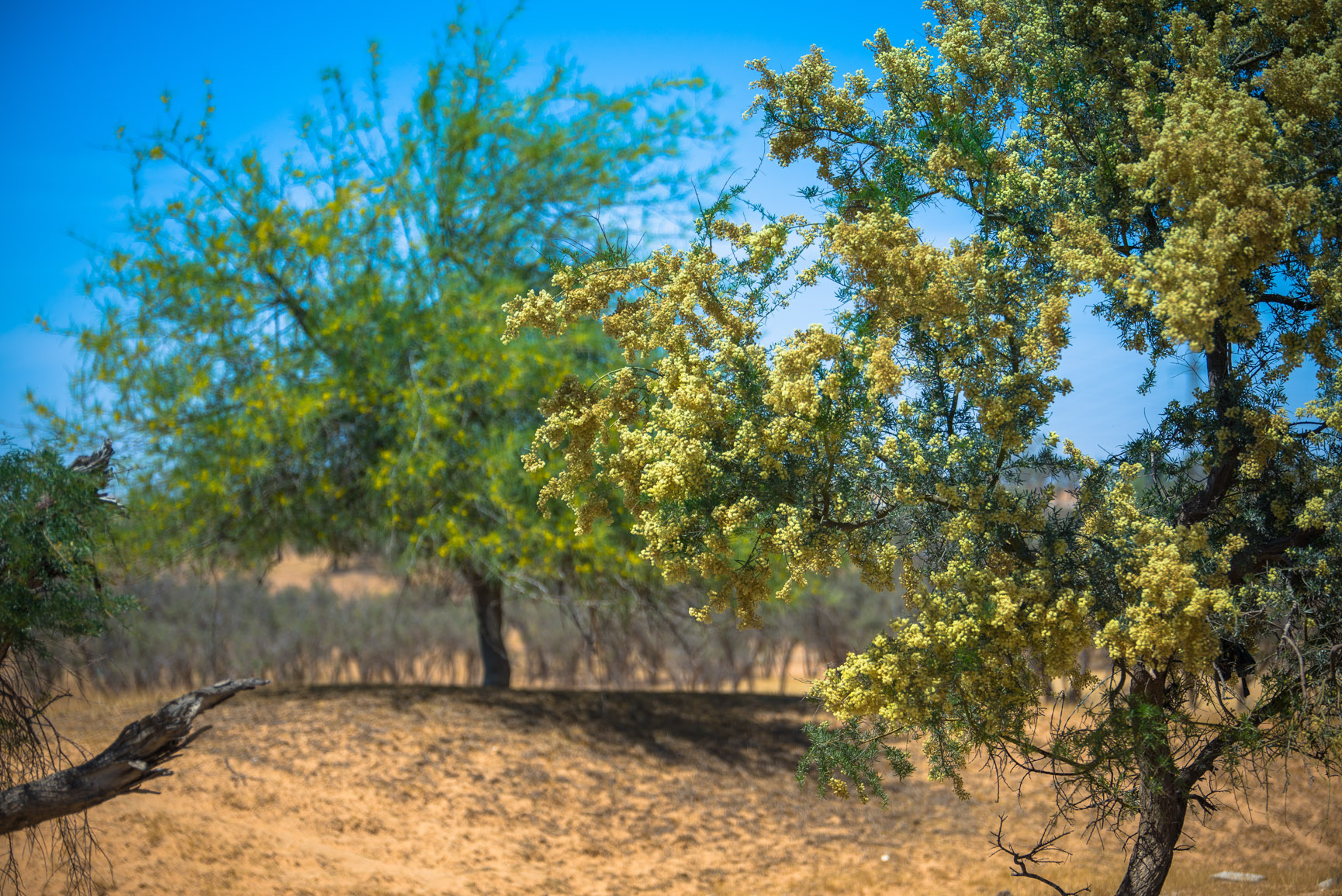 Entry 121426 in Landscapes by Ron Stollman Photography