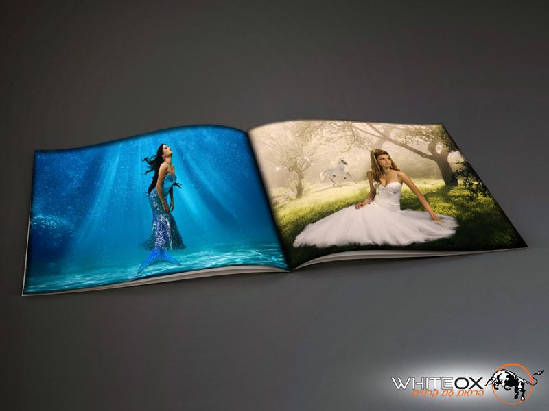 Entry 67071 in Portfolio by white ox