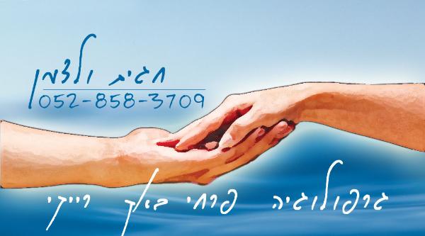 Entry 3093 in Portfolio by ברטה הפקות