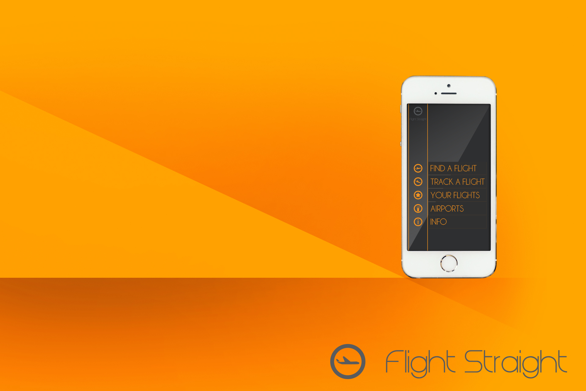Entry 104913 in Flight Straight app by Tal I. Levy | Design Studio