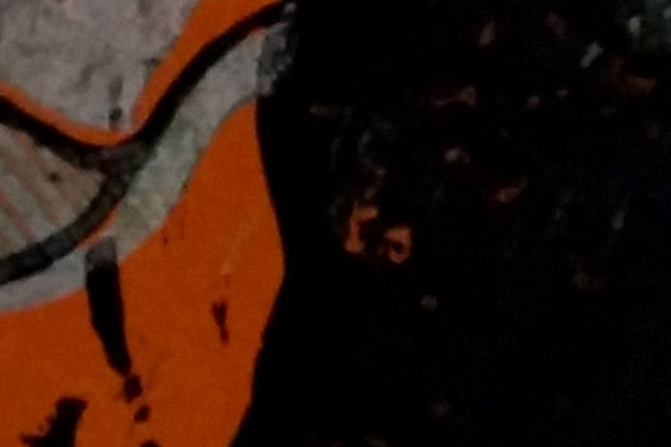 Open Zoomed Related Entry הדפס2.jpg