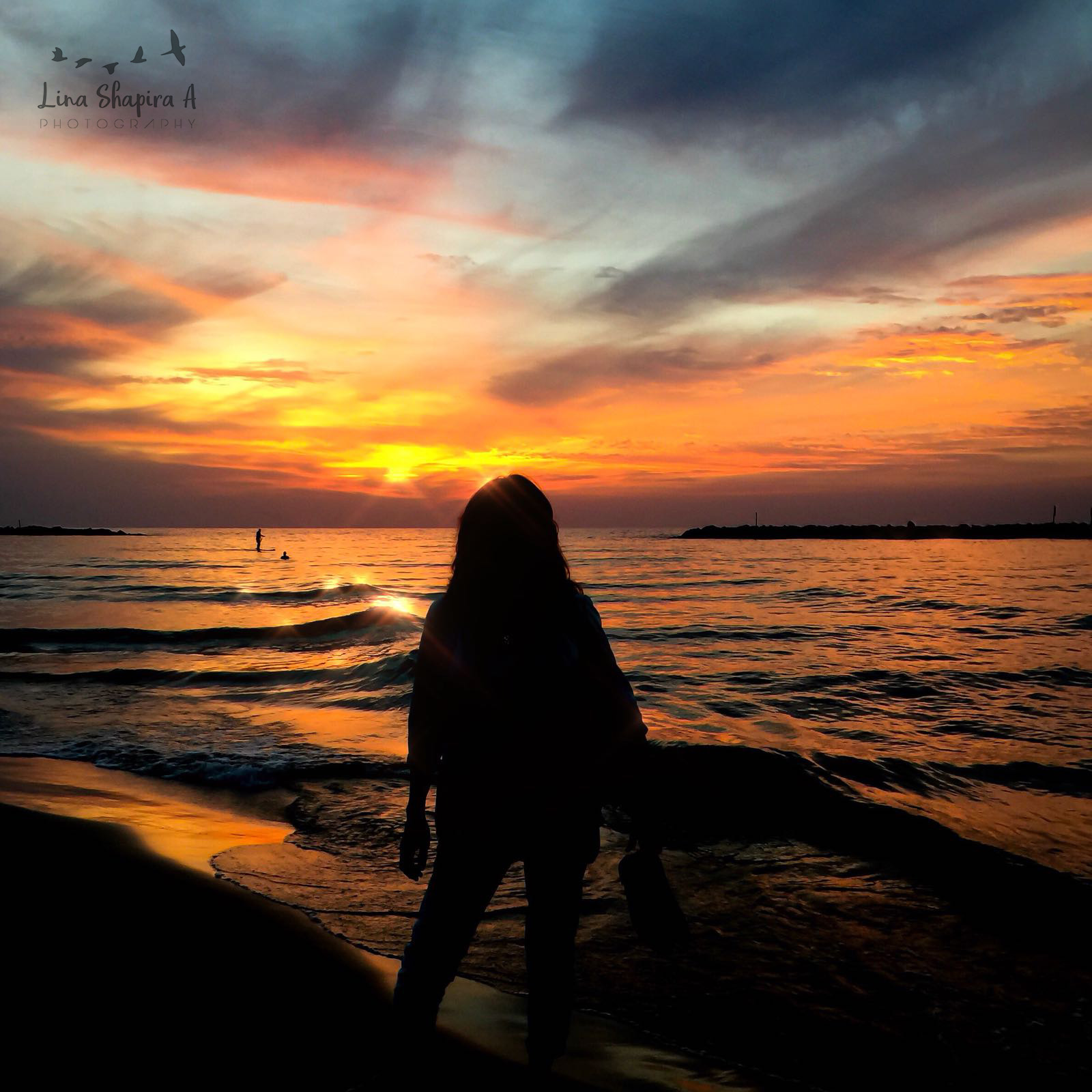 Entry 154025 in Portfolio by Lina Shapira A photography