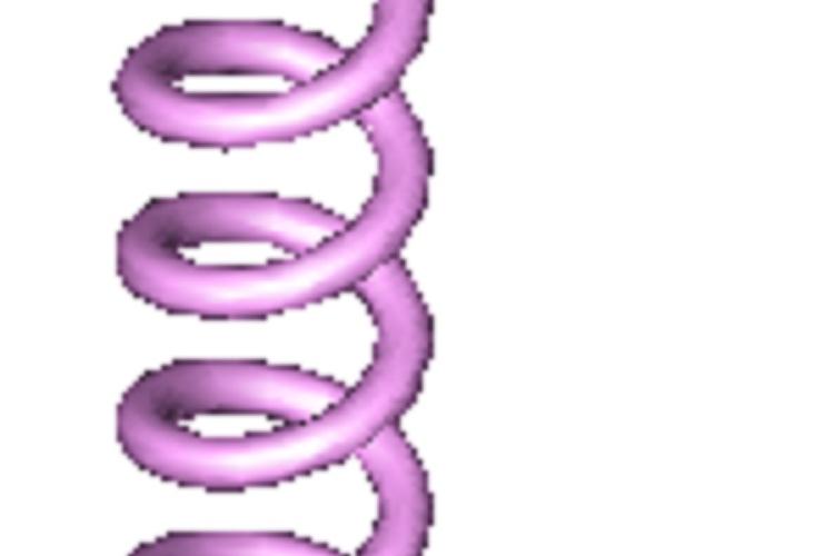 Open Zoomed Related Entry spring.jpg