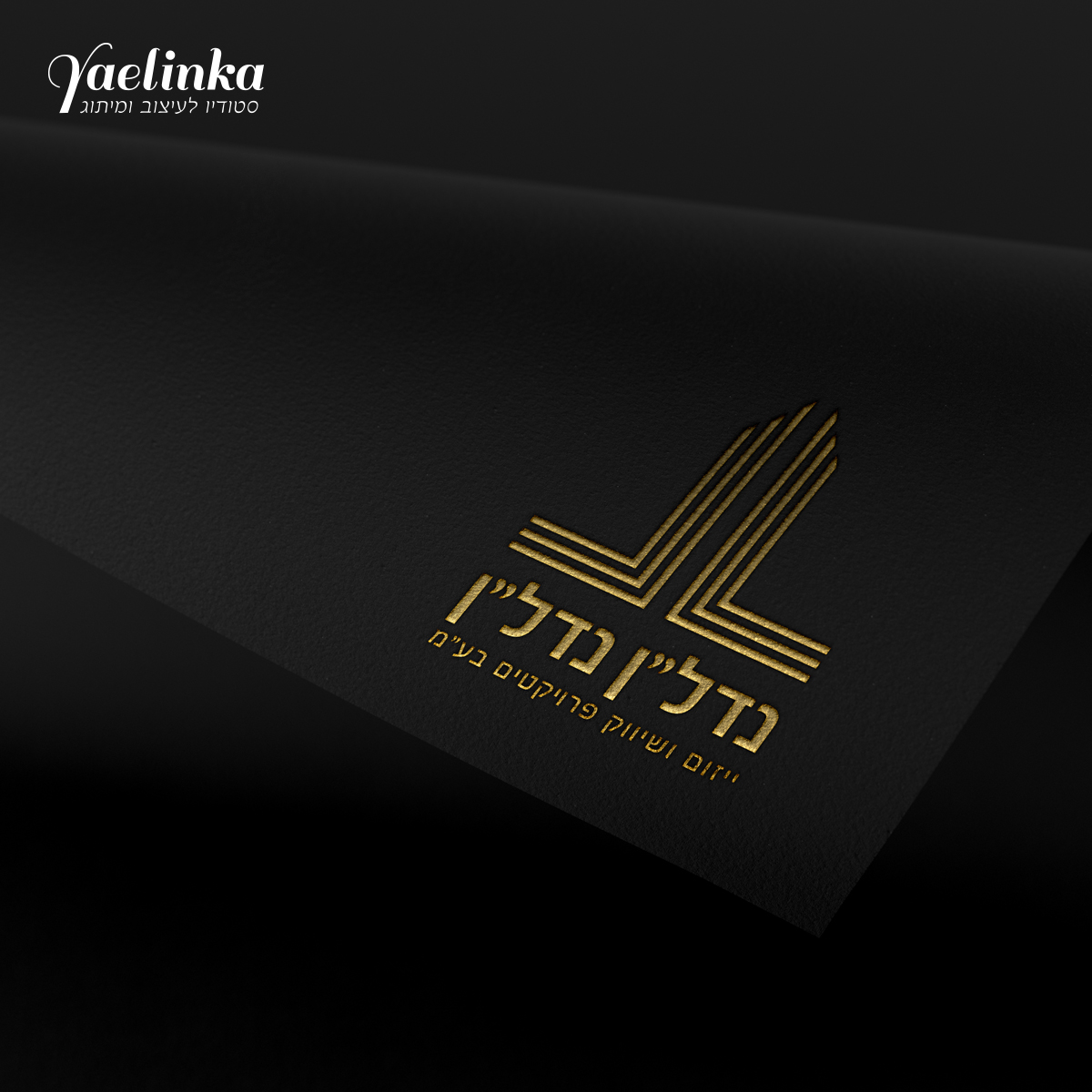Entry 175077 in עיצוב פרינט (דפוס) by סטודיו יעלינקה