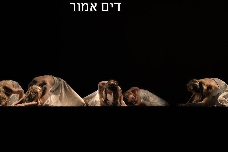Entry 267771 in Portfolio by דים אמור בית ספר למשחק